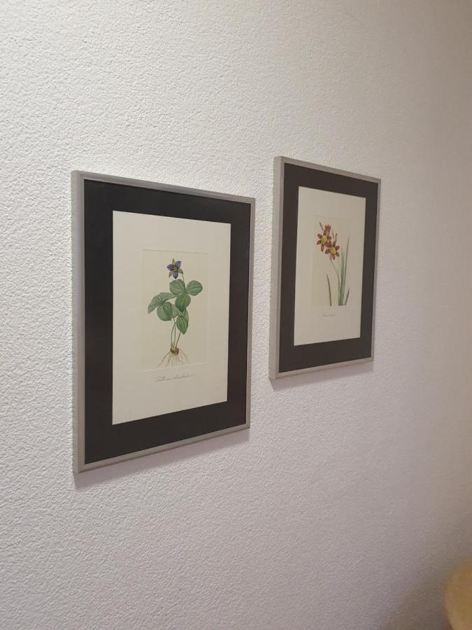 Bastis City Center Homestay Lucerne